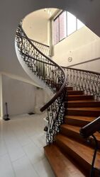 Nassim Mansion (D10), Apartment #608613931